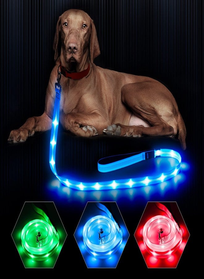 BSEEN LED Dog Leash - 4 Ft Light Up Dog Leash Rechargeable Glowing Pet Leash Reflective Puppy Lead Safety Dog Lights for Night Walking (BlueⅡ, 120cm) - Image 1